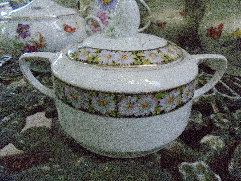 Suikerpot met zwarte rand met witte madeliefjes, Ophalen of Verzenden