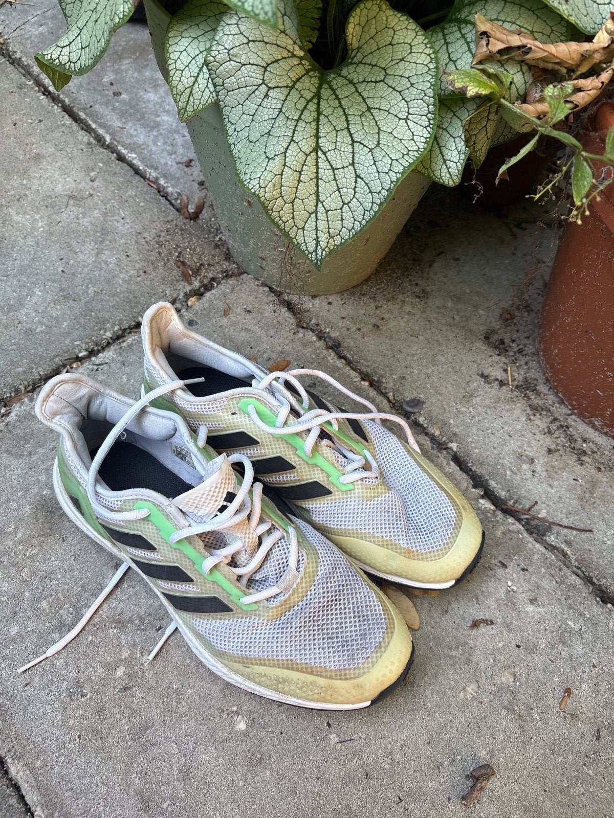 Adidas heren hockeyschoenen - gebruikt, Ophalen, Gedragen, Sportschoenen