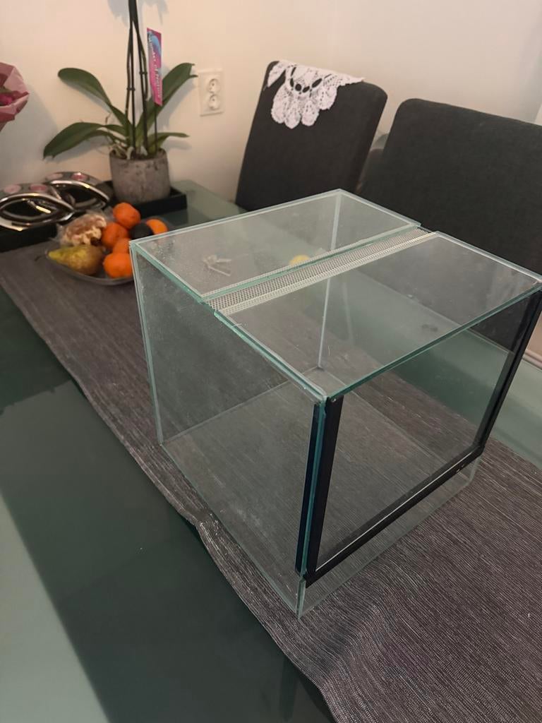 Glazen Terrarium 30x30x30 cm – In zeer goede staat, Dieren en Toebehoren, Reptielen en Amfibieën | Toebehoren, Ophalen of Verzenden