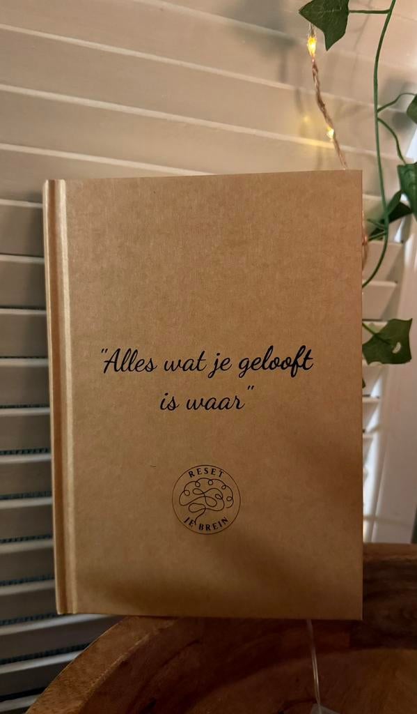 Reset je Brein Journal, Diversen, Verzenden, Nieuw, A5