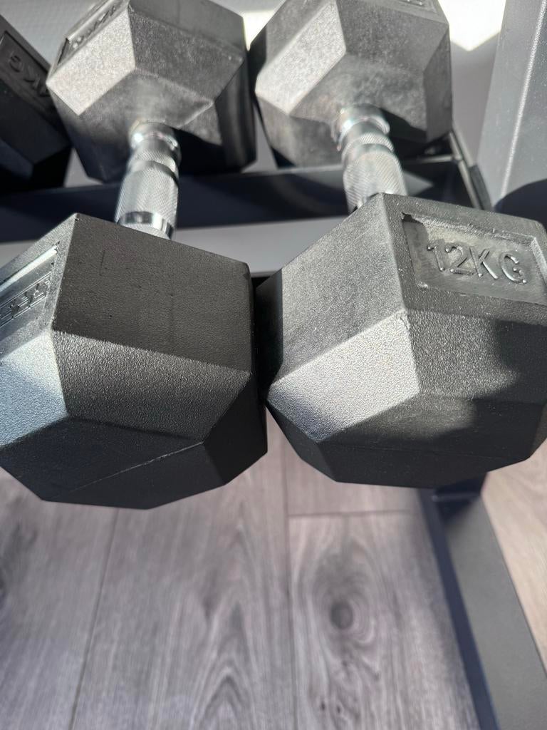 Hexa dumbbells 12kg 2 stuks, Ophalen, Gebruikt, Armen, Dumbbell