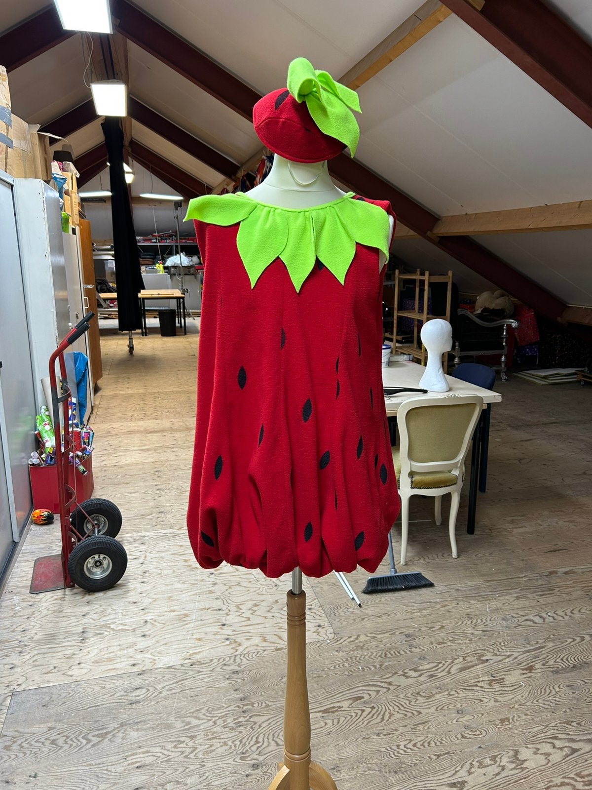 Aardbeipak, Ophalen of Verzenden, Zo goed als nieuw, Carnaval