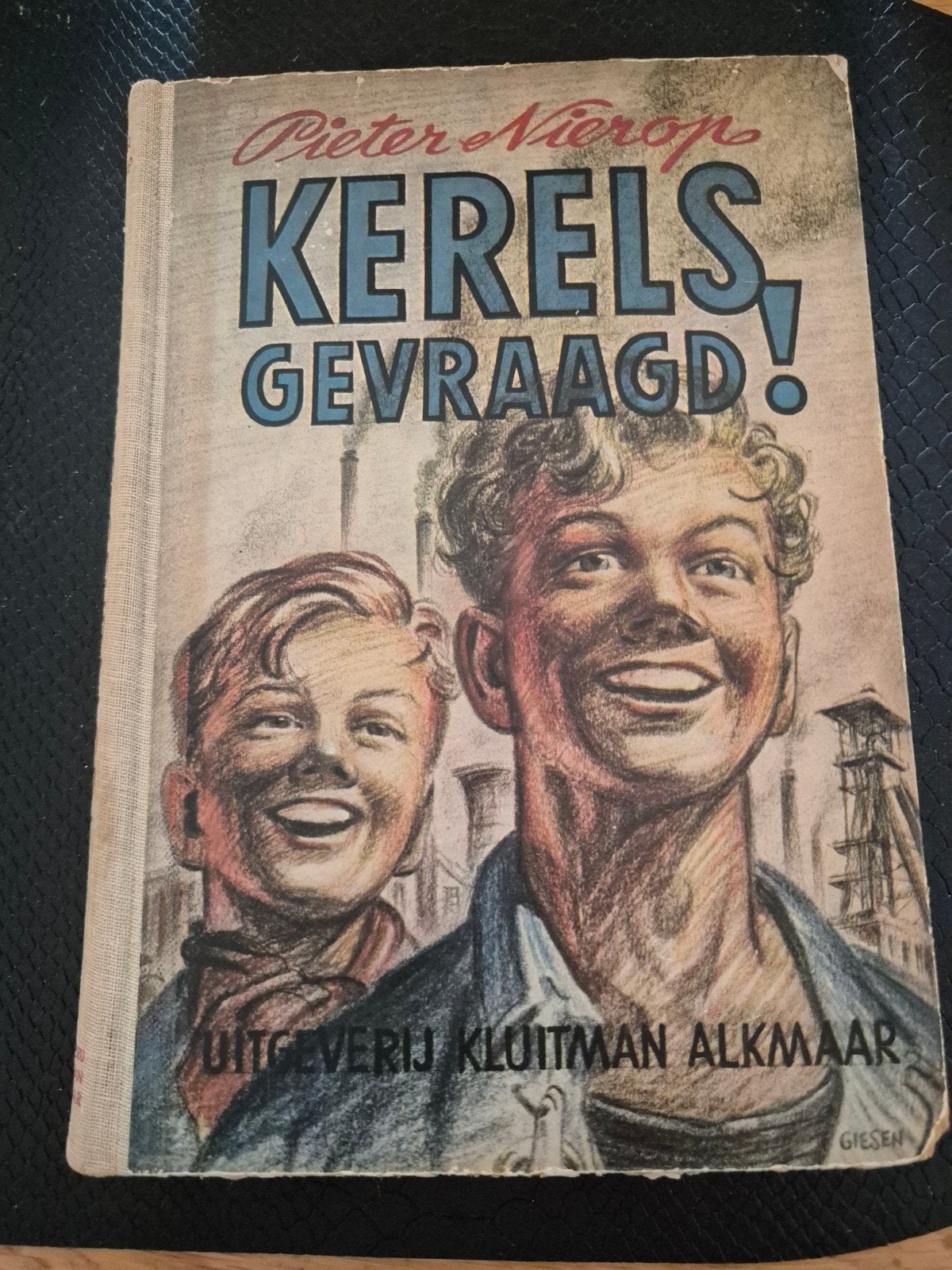 kerels gevraagd, Boeken, Ophalen of Verzenden, Gelezen, Pieter nierop