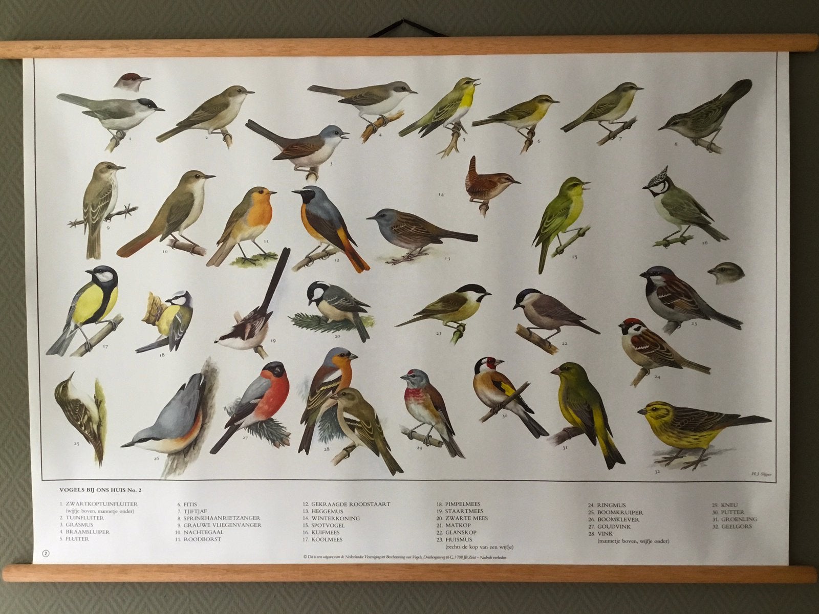 Fraaie schoolplaat poster  “ Vogels bij ons huis 2 “, Ophalen of Verzenden