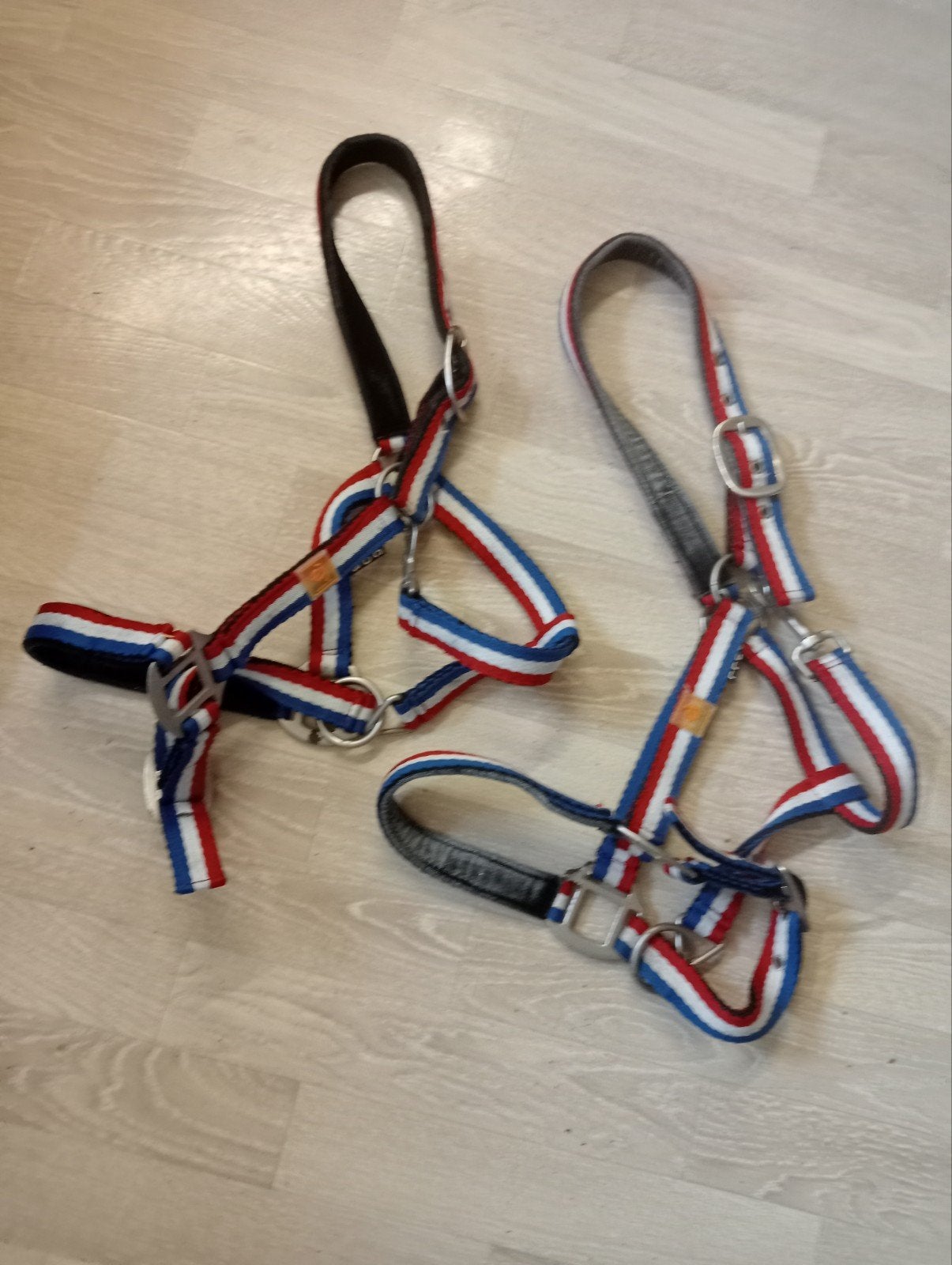 Twee nette Ej halsters mt cob en full, Dieren en Toebehoren, Ophalen of Verzenden, Gebruikt, Dressuur