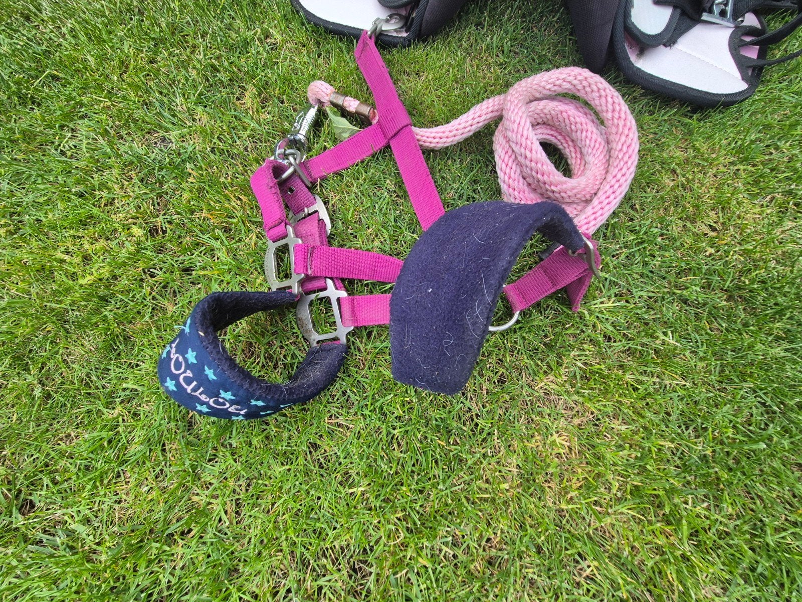 Shetlander halster en andere pony spullen, Ophalen of Verzenden, Overige soorten