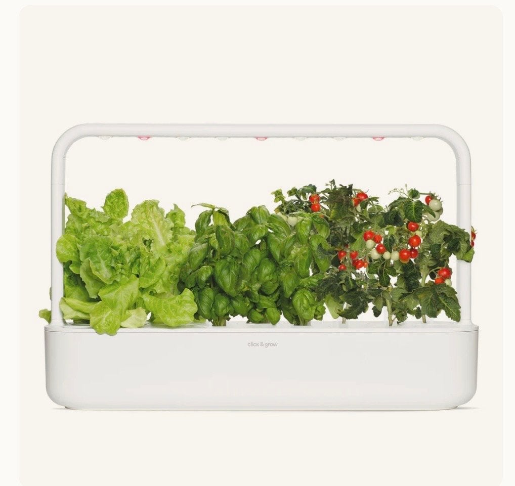 Click & Grow Smart Garden 9 - Slimme Binnentuin, Ophalen, Groenteplanten, Volle zon