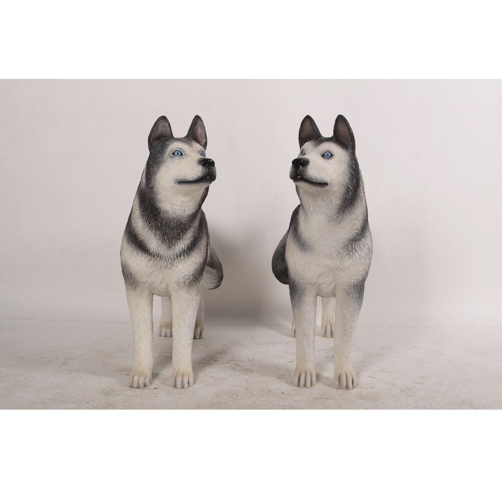 Husky hondenset beelden - set van 2 Lifesize, Verzamelen, Ophalen, Nieuw, Overige typen