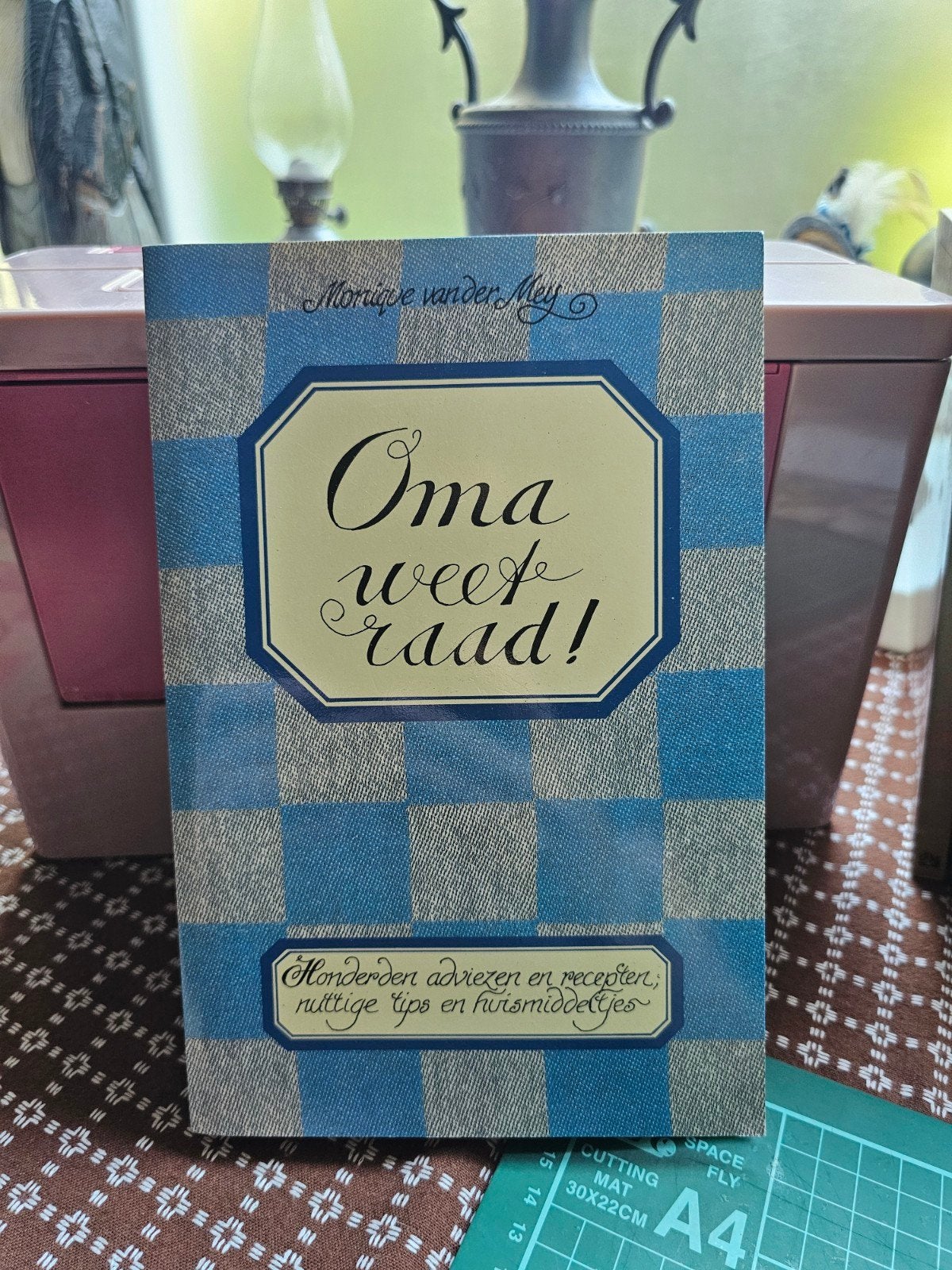 Oma weet raad! oude huishoudtips, recepten & huismiddeltjes, Ophalen of Verzenden, Gelezen