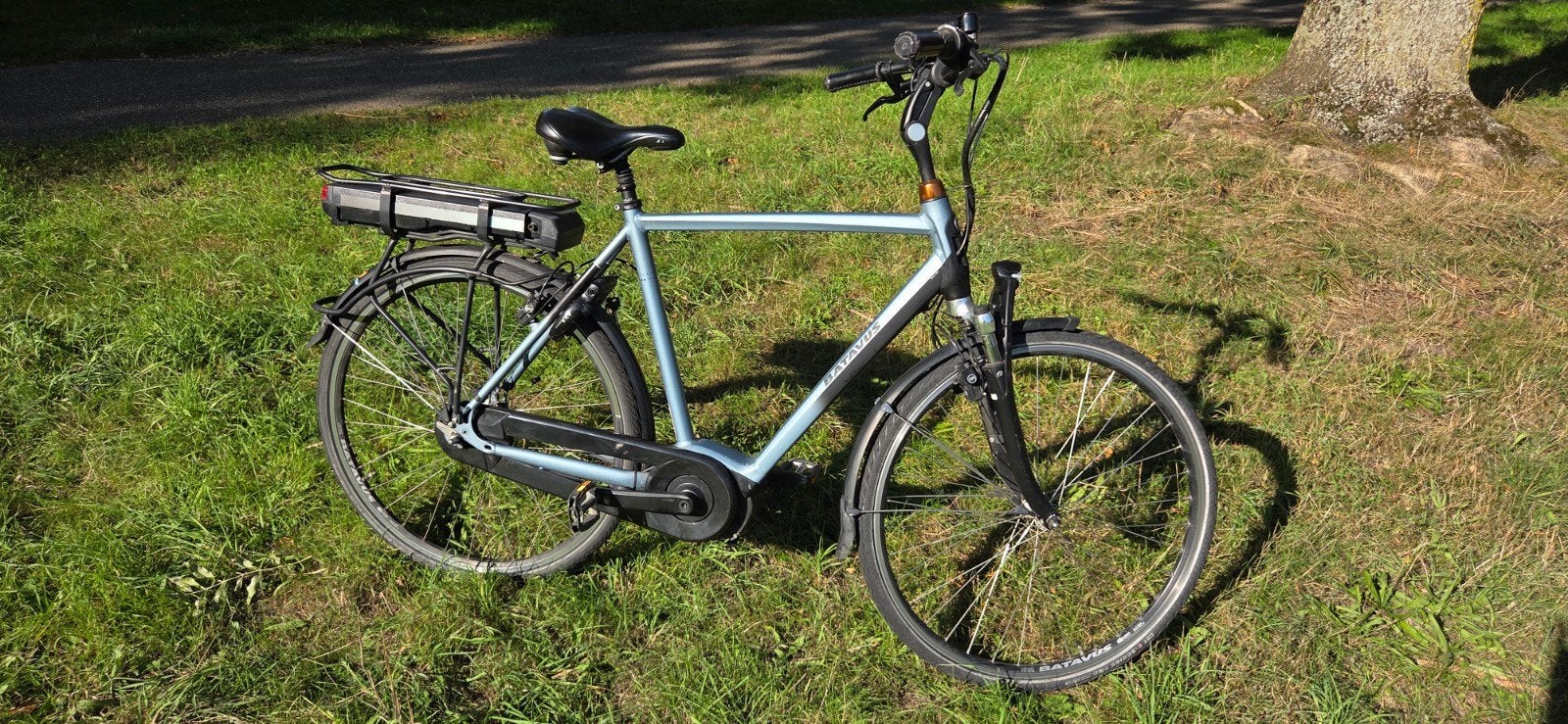 Foto 3 van Batavus Stream ebike met zeer krachtige motor