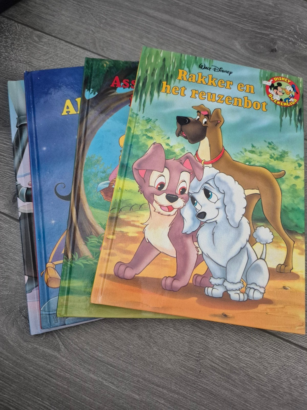 Disney Boeken: Aladdin, Assepoester, Rakker en Pinguïn, Boeken, Ophalen of Verzenden