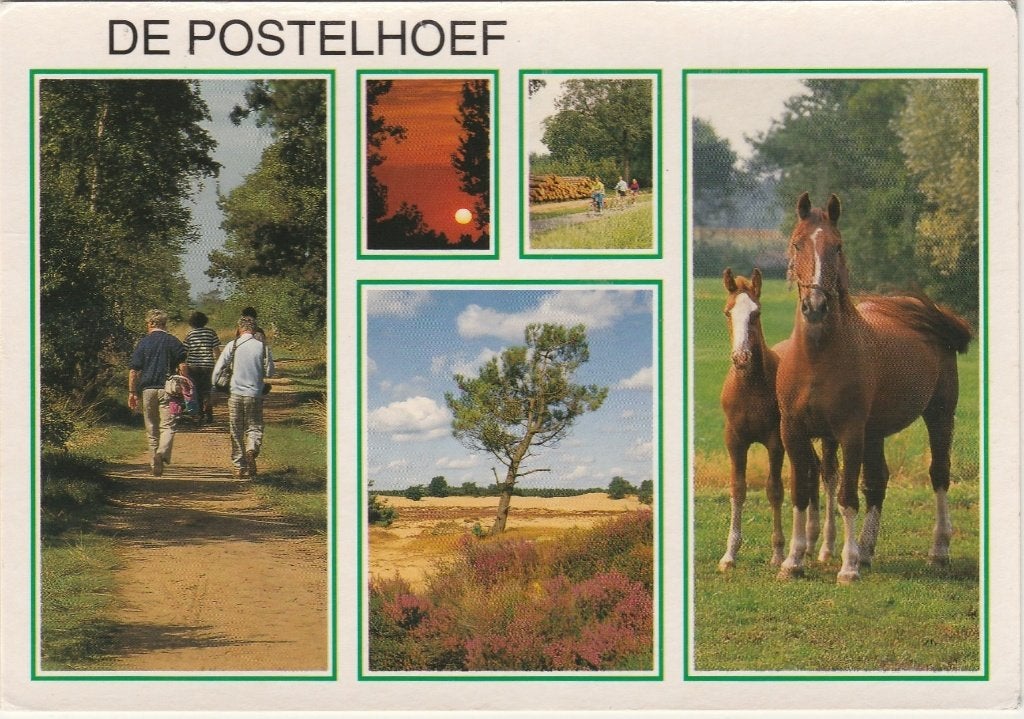 LUYKSGESTEL De Postelhoef Vakantiehotel, Verzenden, 1980 tot heden, Gelopen, Noord-Brabant