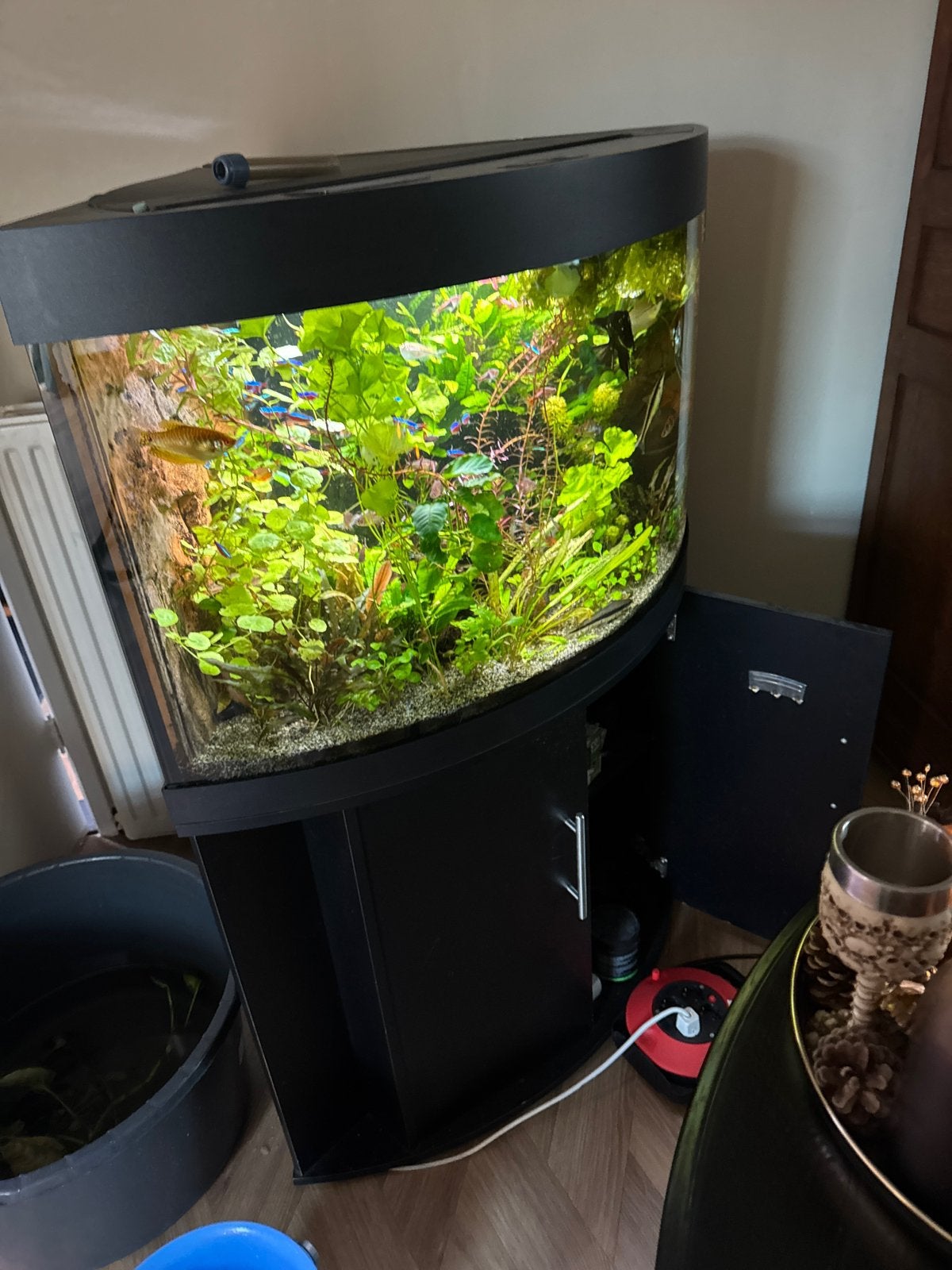 Juwel trigon 190 liter hoek aquarium met binnenpomp., Dieren en Toebehoren, Ophalen, Zo goed als nieuw, Leeg aquarium