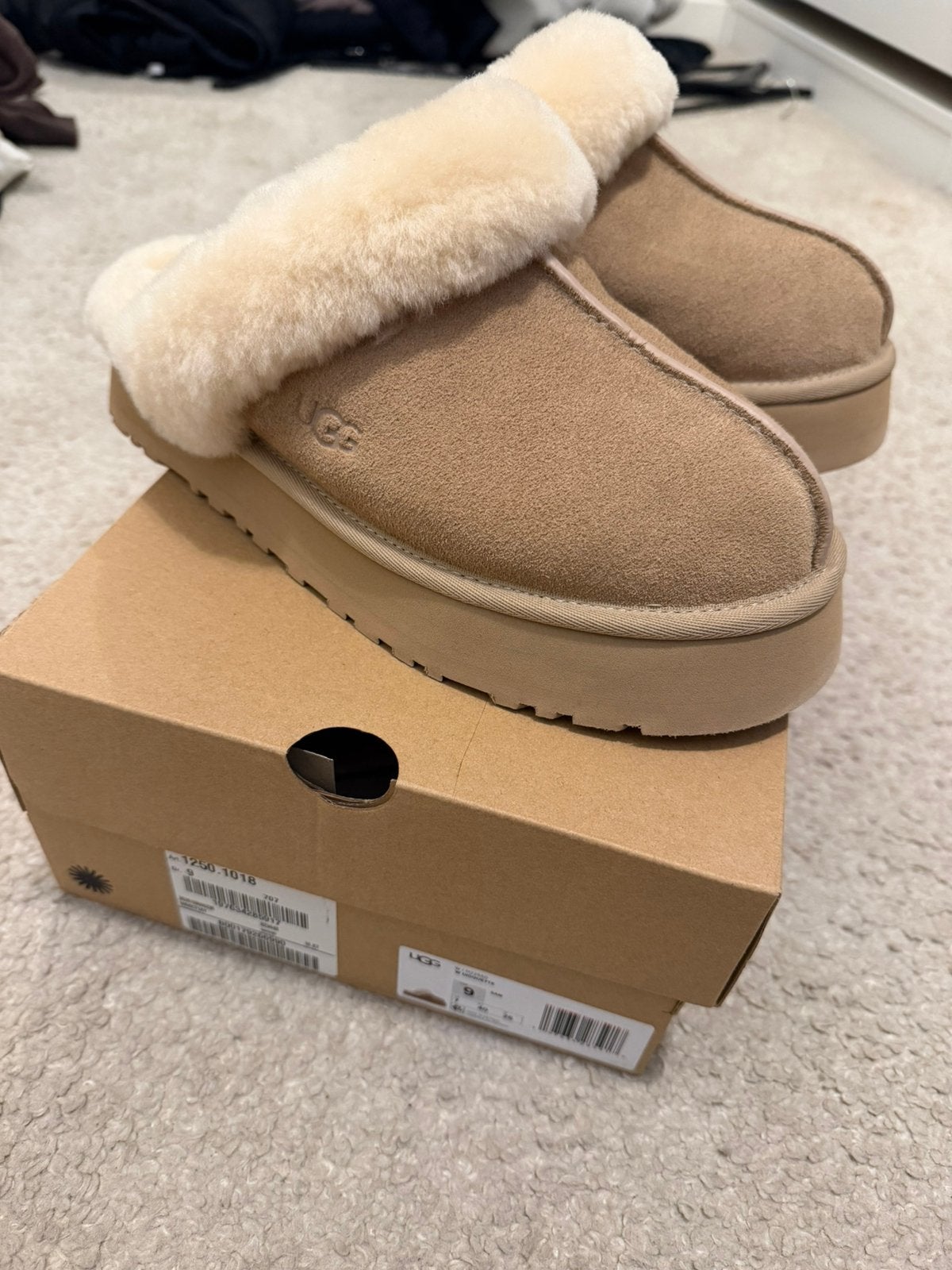 Uggs disquette 40, Beige, Nieuw, Ophalen of Verzenden, Pantoffels of Sloffen