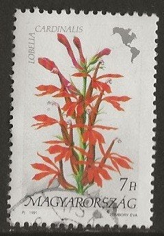 Hongarije 41, lobelia, Verzenden, Gestempeld