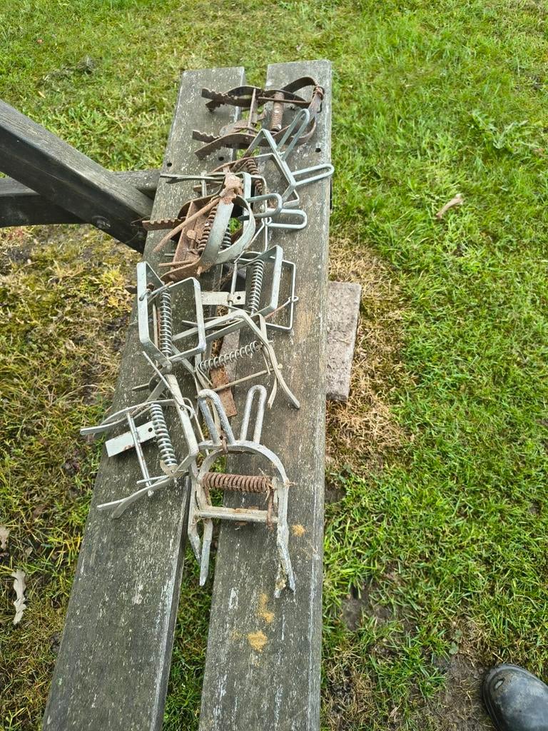 Te koop 9 mollen klemmen