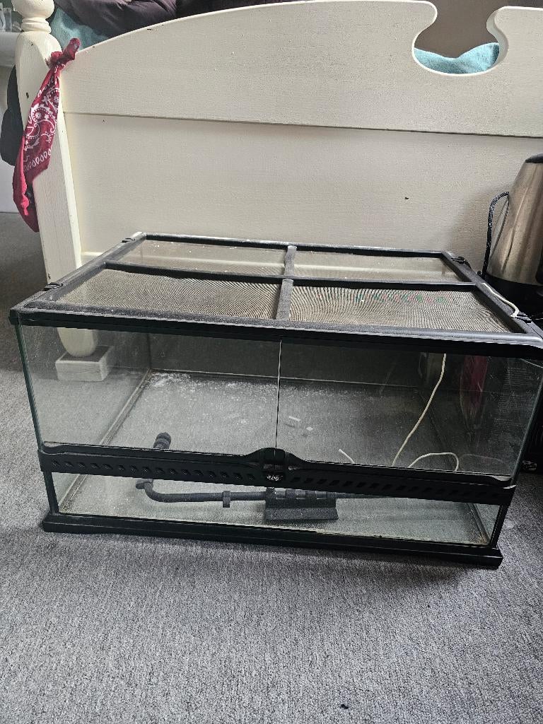 Terrarium 60x45x30 (Exo Terra), Dieren en Toebehoren, Reptielen en Amfibieën | Toebehoren, Ophalen, Zo goed als nieuw, Terrarium of Paludarium