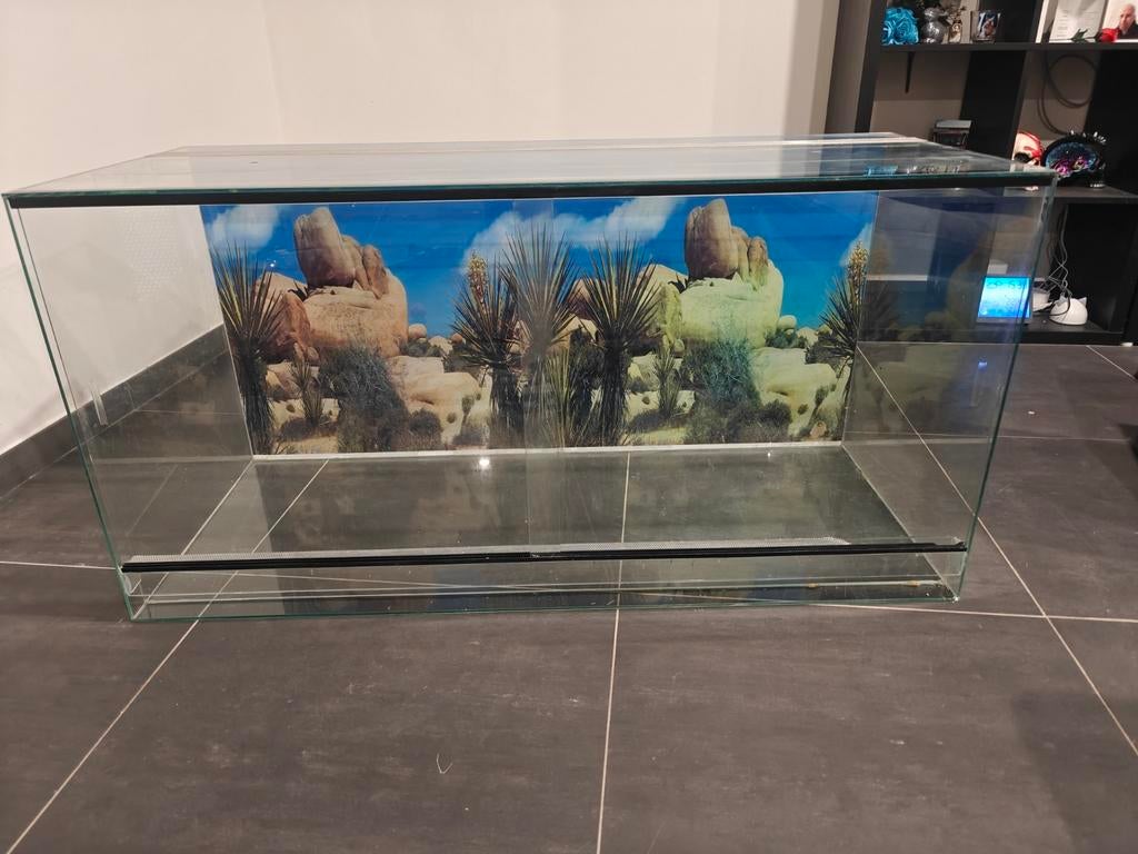 Terrarium met achtergrond, Dieren en Toebehoren, Ophalen, Gebruikt, Terrarium of Paludarium