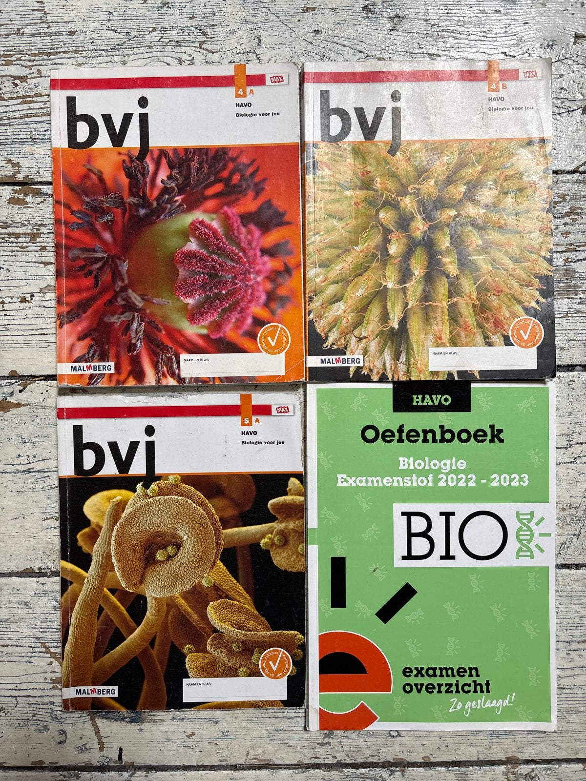 Biologie boeken HAVO: Bvj 4A, 4B, 5A & Oefenboek, Boeken, Ophalen of Verzenden, Gelezen, HAVO, Biologie