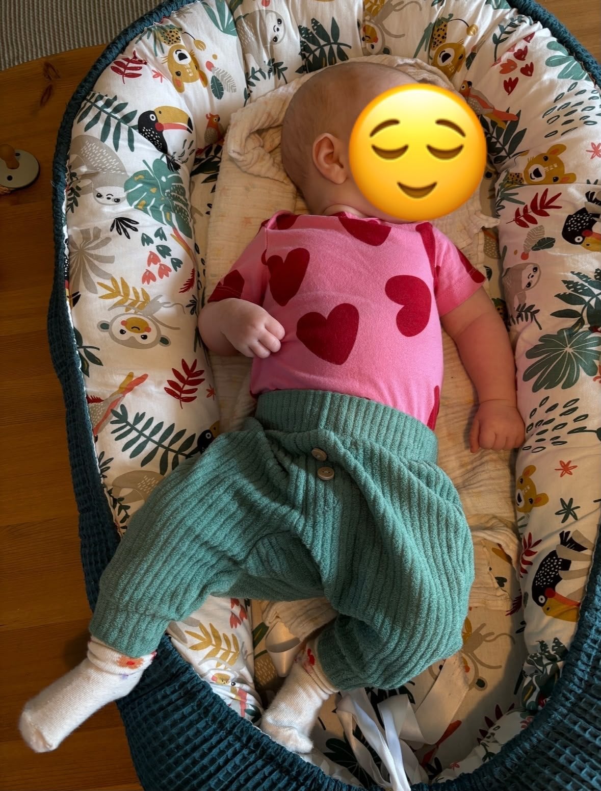 Little Bandit Babynestje met rits - Goede staat, Ophalen, Zo goed als nieuw, Overige typen