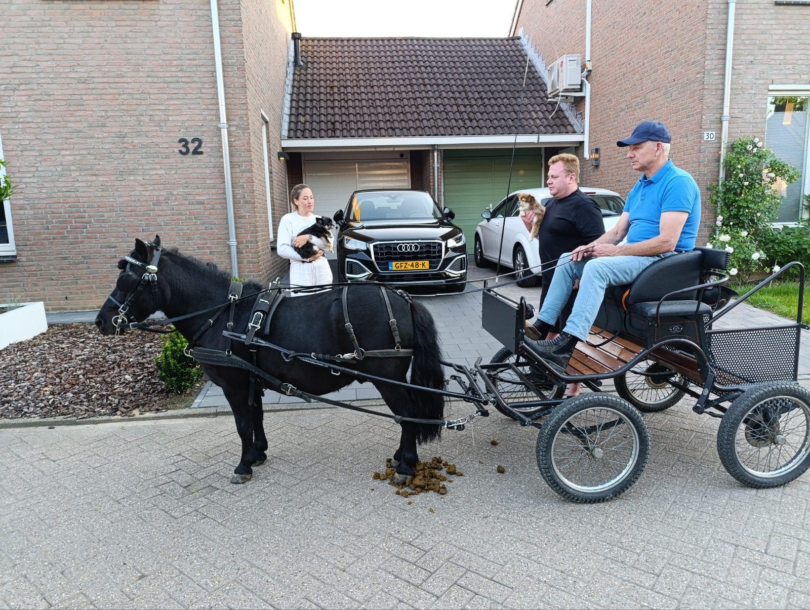 Shetlander koets te koop, Gebruikt, Overige typen, Pony