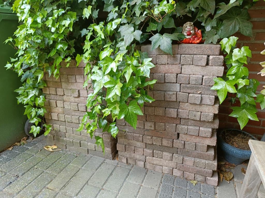 Waaltjes, een stuk of 500, Ophalen, Gebruikt, Klinkers, Minder dan 5 m²