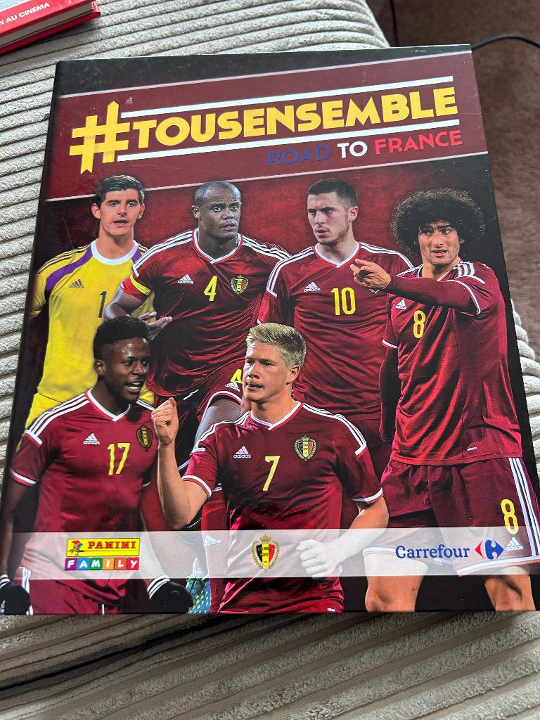 Trading cards voetbal tousensemble panini road to france, Ophalen of Verzenden, Gebruikt, Buitenlandse clubs, Poster, Plaatje of Sticker