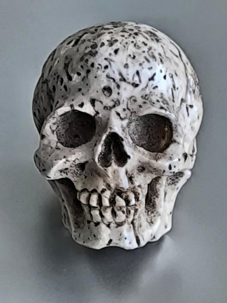 Antiek benen schedel, Ophalen of Verzenden