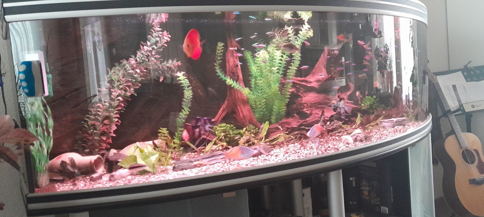 groot aquarium Aqualantis, Eén persoon, Cadeaubon