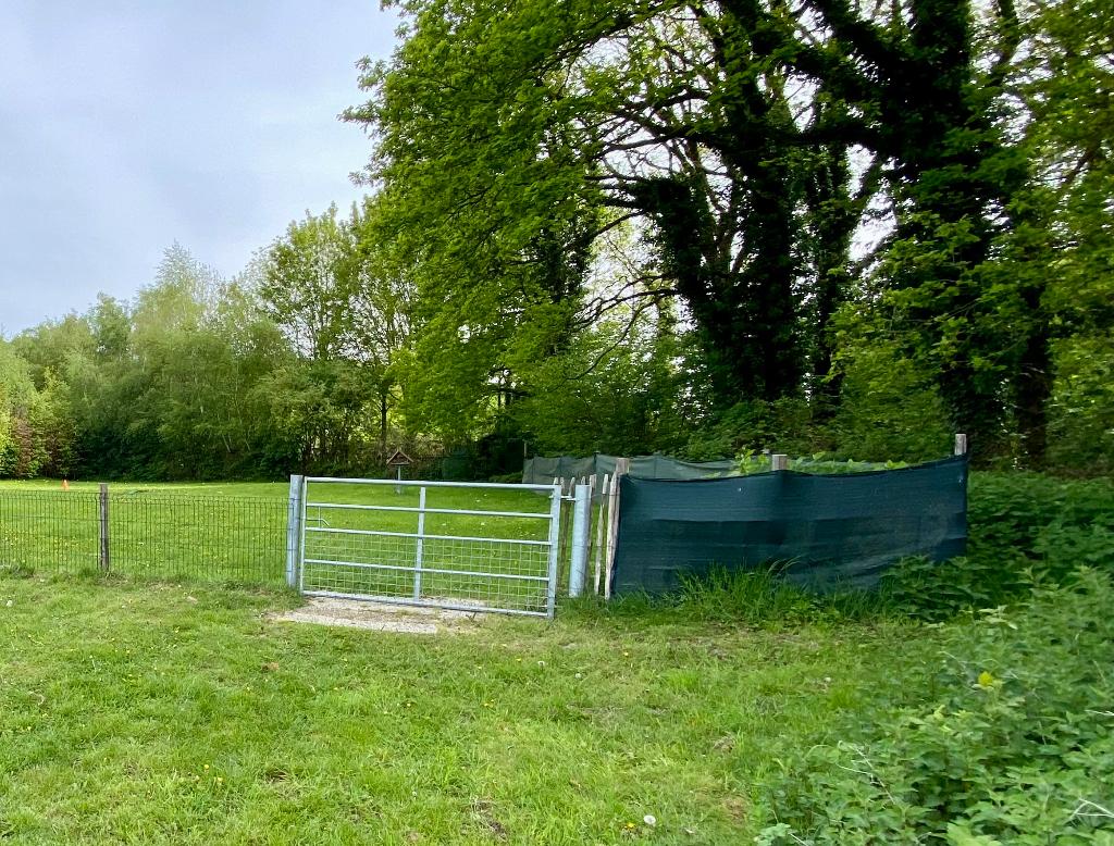 weide poort., Dieren en Toebehoren, Weidegang, 4 paarden of pony's of meer