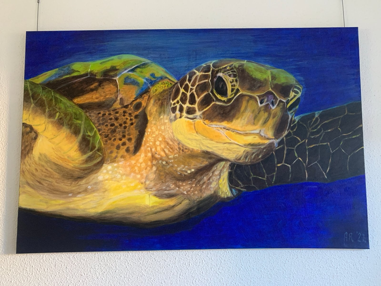 Handgeschilderd schilderij: Schildpad van Sealife, Ophalen of Verzenden, Handgeschilderd, Dieren