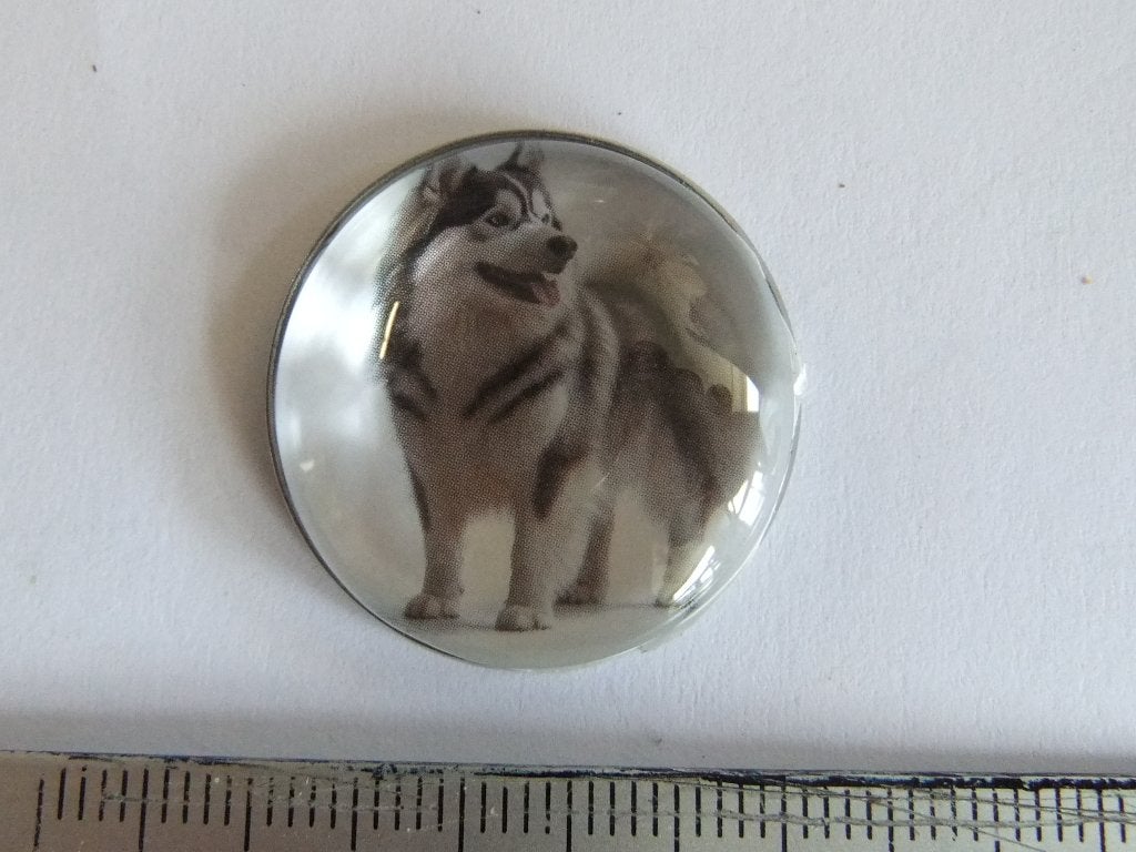 pin of speldje Siberische Husky, Verzenden, Nieuw, Overige onderwerpen