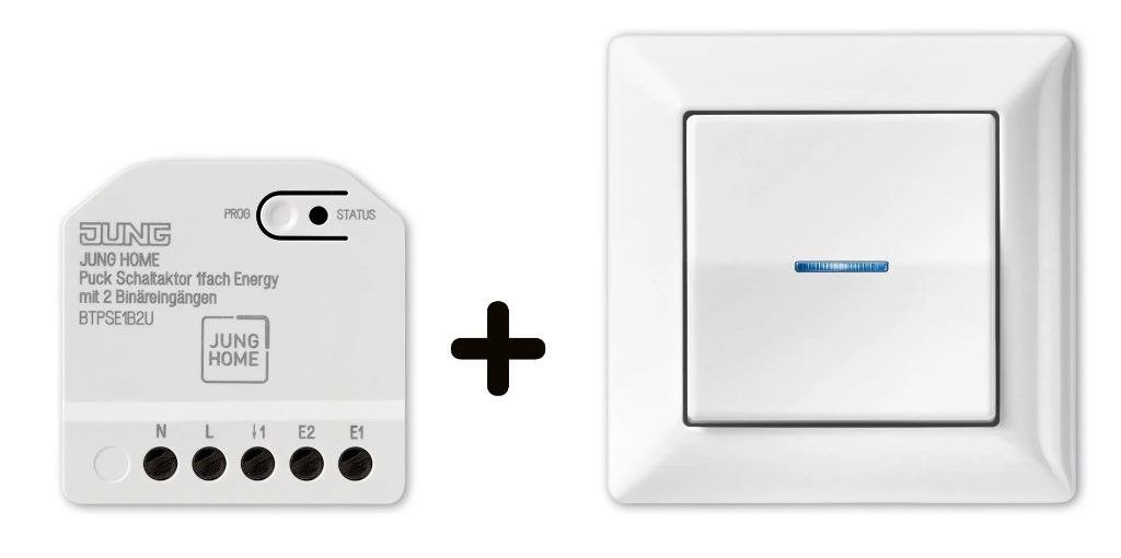 HOME set AS 1 schakelaar + 1 zender - alpin wit - Jng, Hobby en Vrije tijd, Verzenden, Nieuw