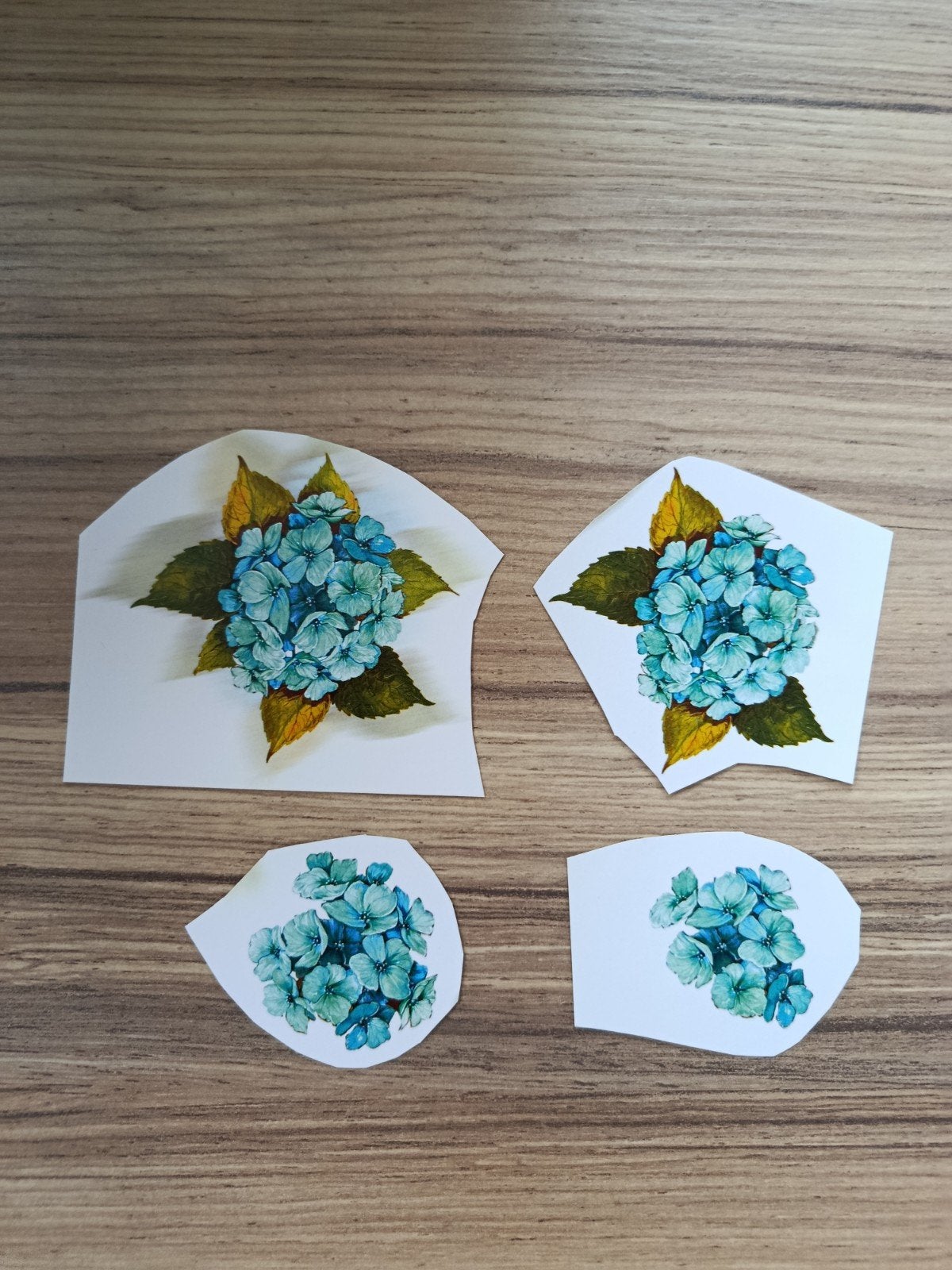 3D knipveltjes hortensia,, Ophalen of Verzenden, Nieuw, Overige thema's, Overige typen