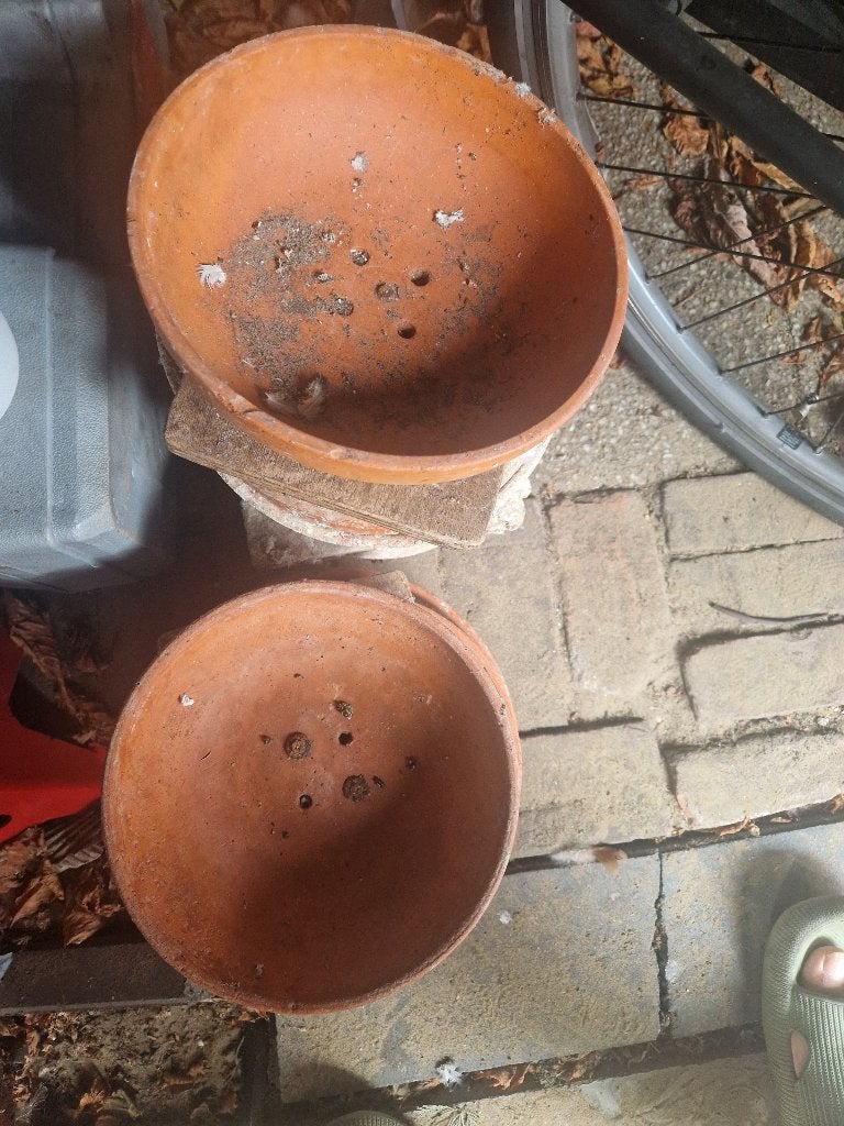 Broed schalen voor duiven, Ophalen, Gebruikt, Overige materialen, Broedkooi of Kweekkooi