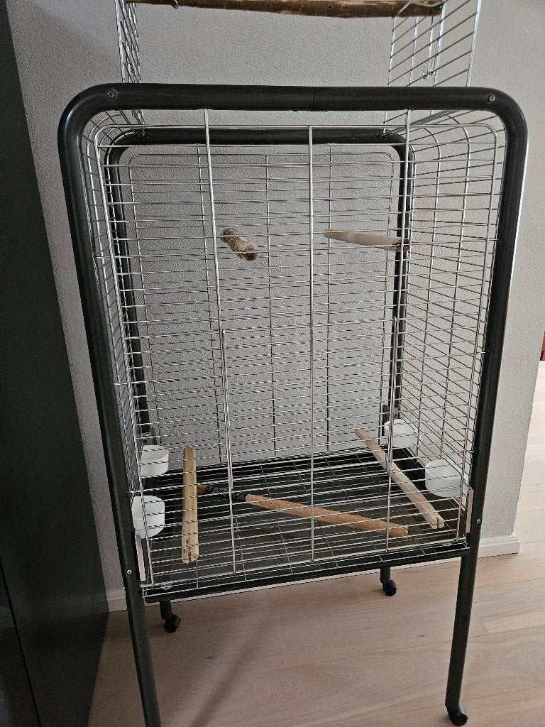 Grote Papegaaienkooi op wielen, Ophalen, Gebruikt, Metaal, Vogelkooi
