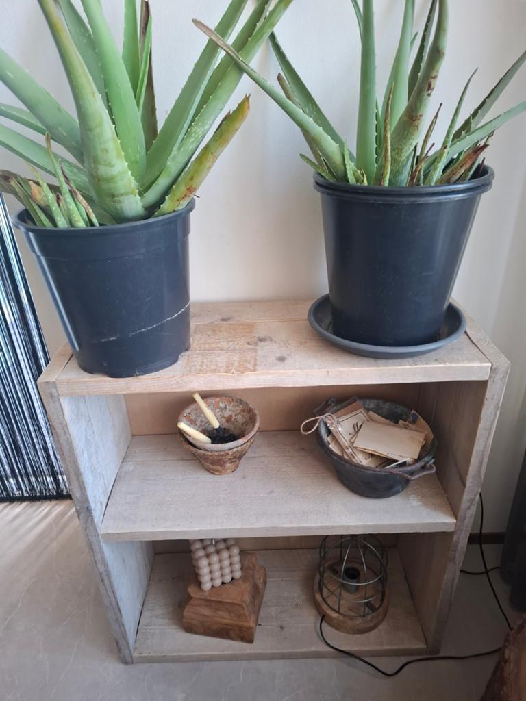 Steigerhout kastje met 2 planken - Landelijke stijl, Ophalen, Gebruikt