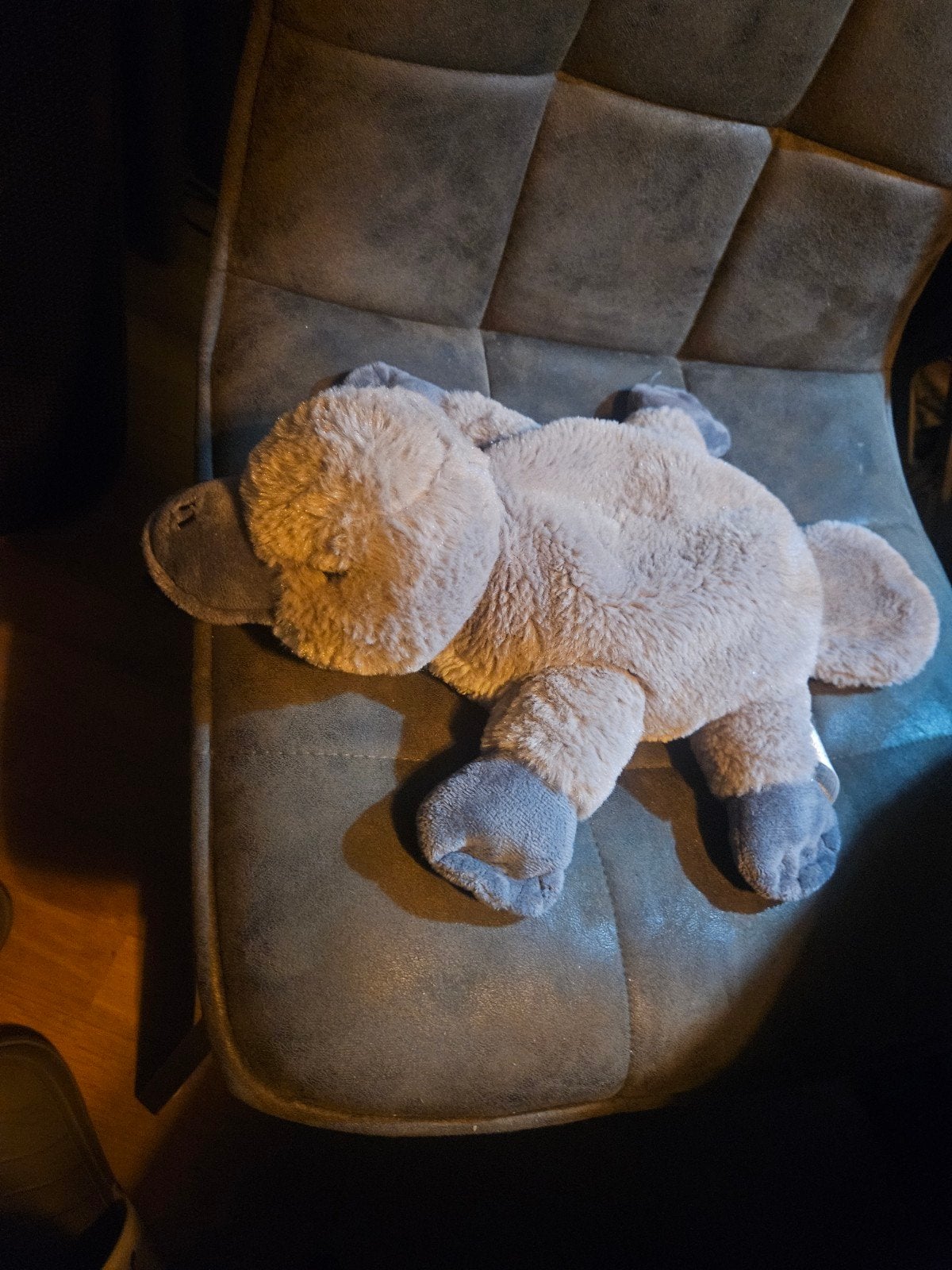 Nieuwe Vogelbekdier Opwarmknuffel - Ideaal voor Koude Dagen, Overige typen, Grijs, Nieuw, Ophalen of Verzenden