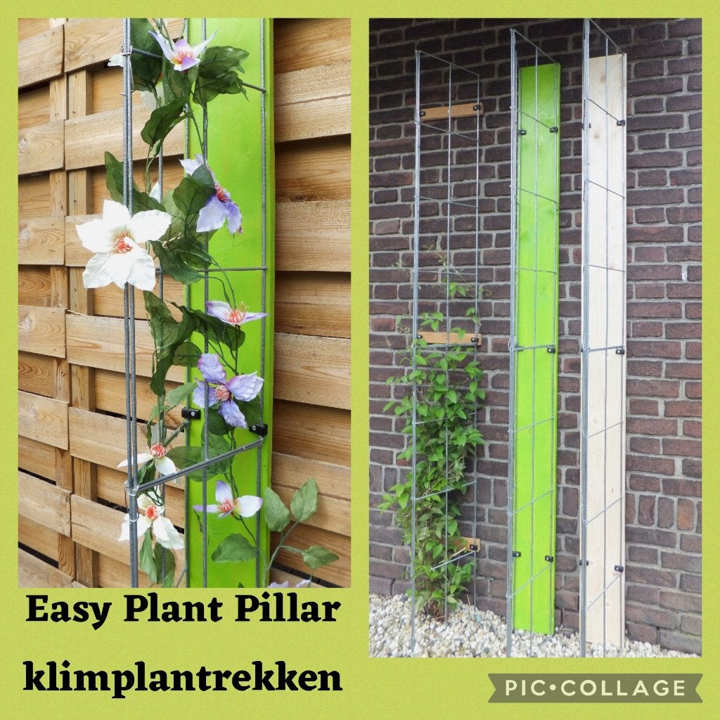 Verticale tuin plantenrekken klimplantenrek tuinrekken, Ophalen of Verzenden, Nieuw, IJzer, Gaashekwerk