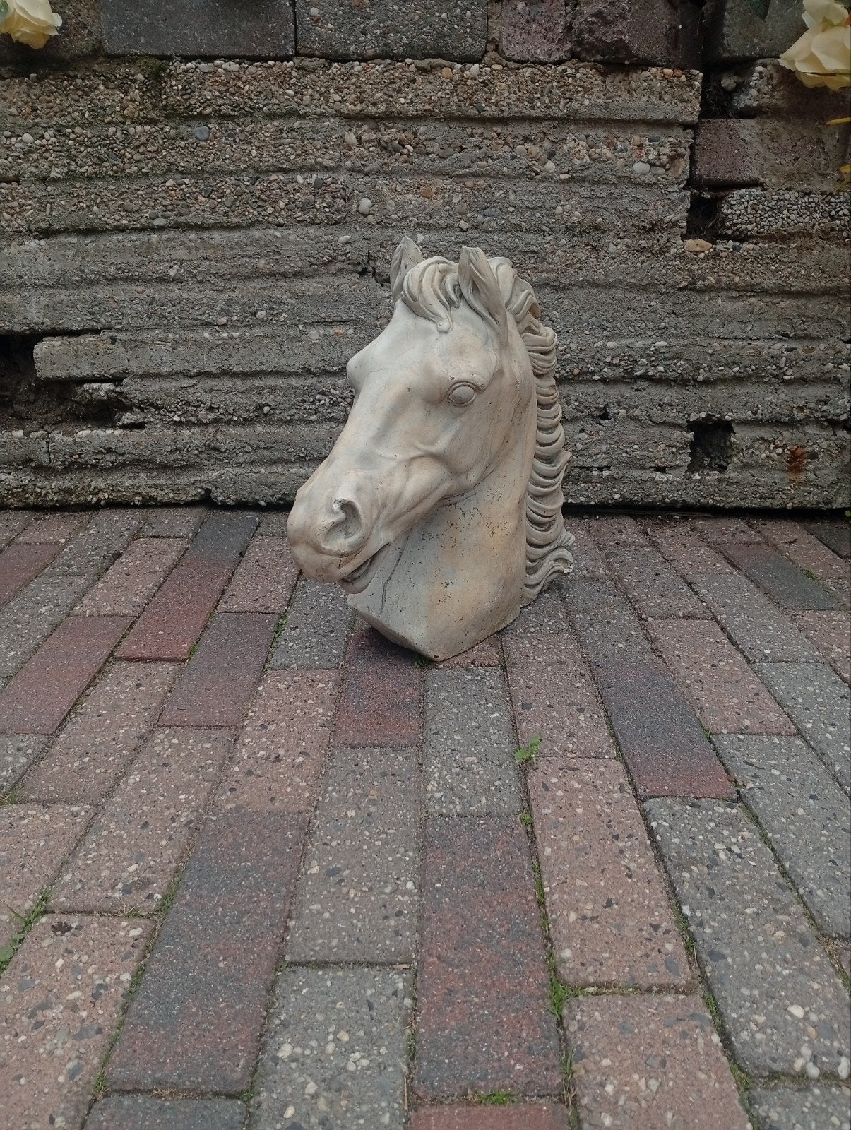 Betonnen paardenhoofd - Tuinbeeld, Ophalen, Gebruikt, Beton, Dierenbeeld