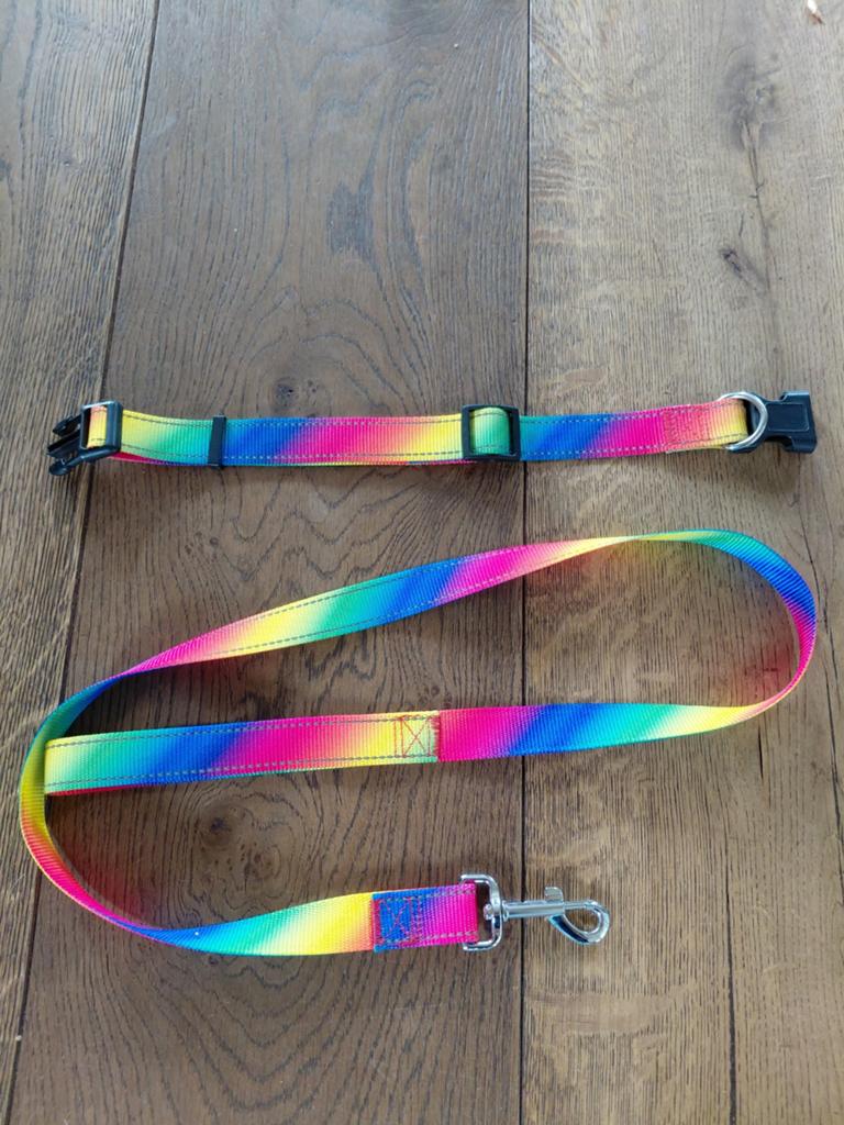 Honden riem met bij past halsband, Dieren en Toebehoren, Ophalen of Verzenden, Nieuw