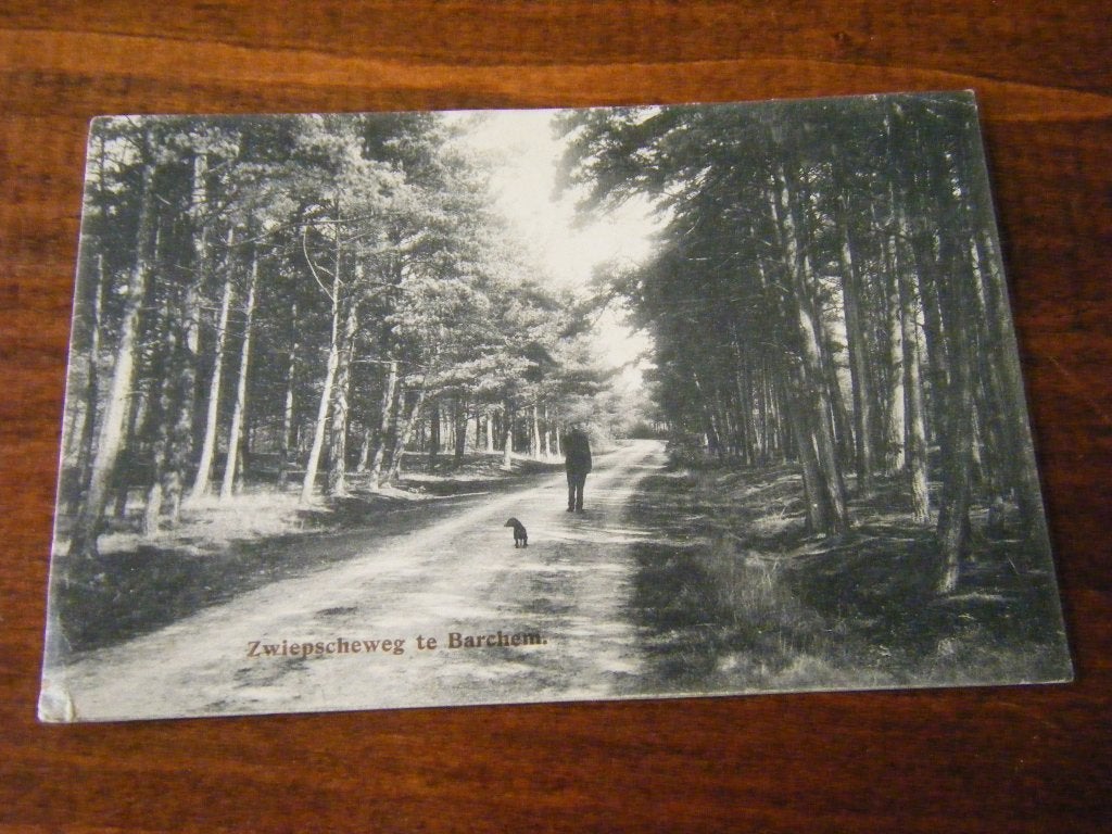 W39 - Barchem - Zwiepscheweg - 1913 - Mooi/Oud, Ophalen of Verzenden, Voor 1920, Gelderland