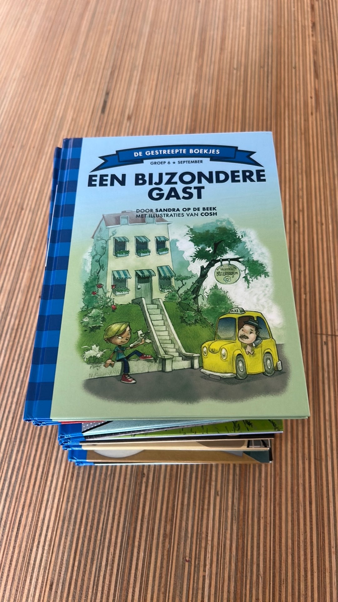 Boekjes groep6 Borre, Boeken, Kinderboeken | Kleuters, Ophalen, Zo goed als nieuw, Fictie algemeen