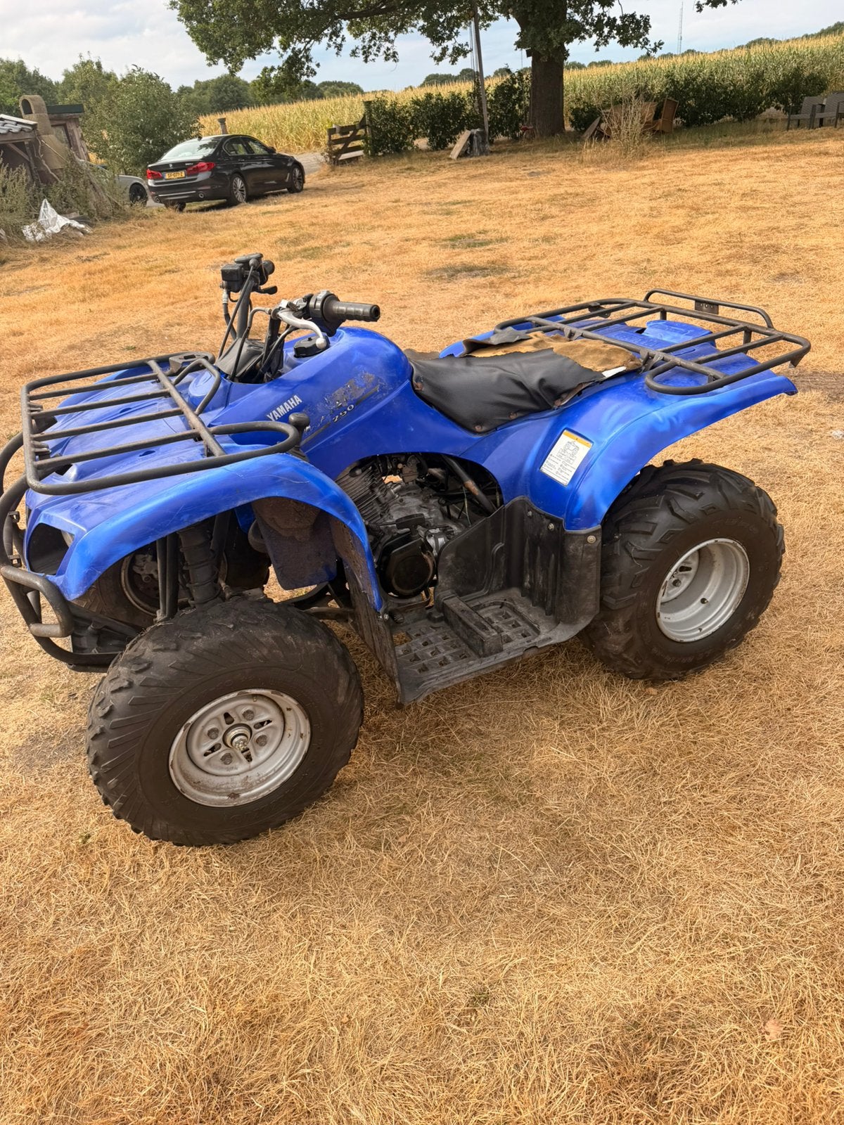Yamaha Bruin 250 Quad - Opknapper/Onderdelen, Tuin en Terras, Ophalen of Verzenden, Gebruikt