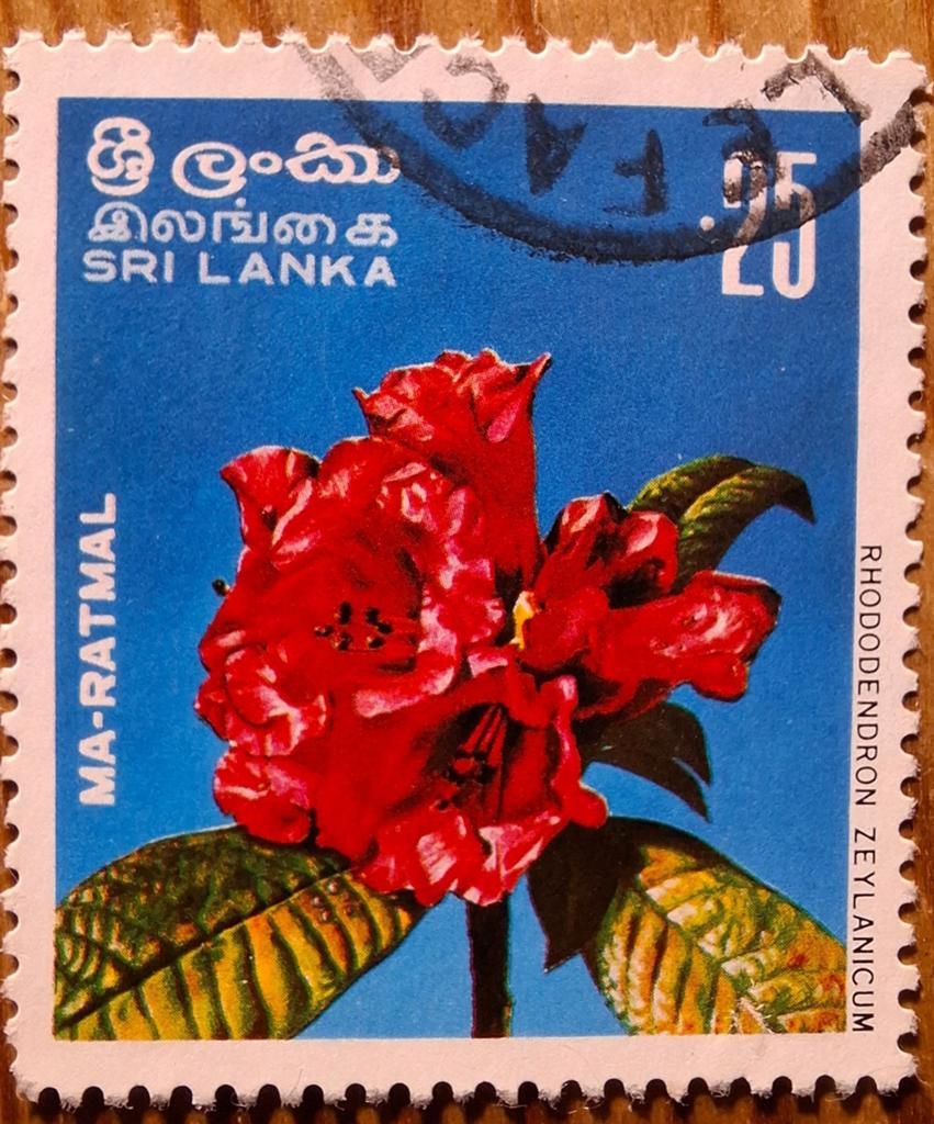 Sri Lanka bloem, Ophalen of Verzenden, Dier of Natuur