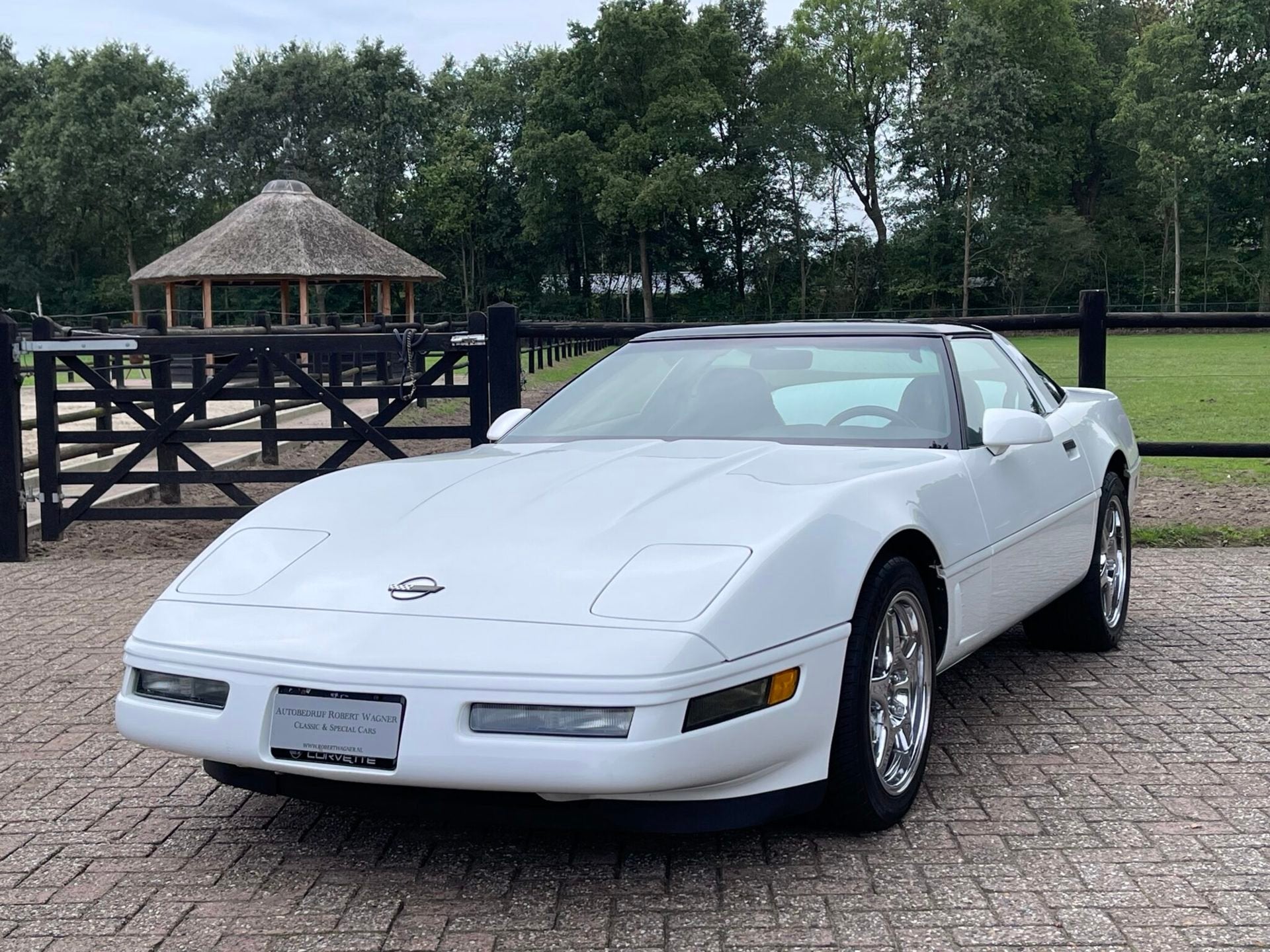 Chevrolet USA Corvette C4 LT1 1996 , 53254 km NL-kenteken, foto 2