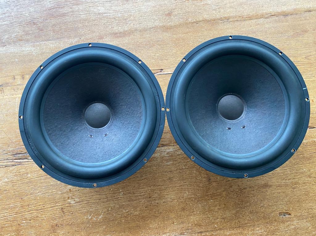 Saes 25F-EWX 10 inch luidsprekers, Ophalen of Verzenden, Zo goed als nieuw