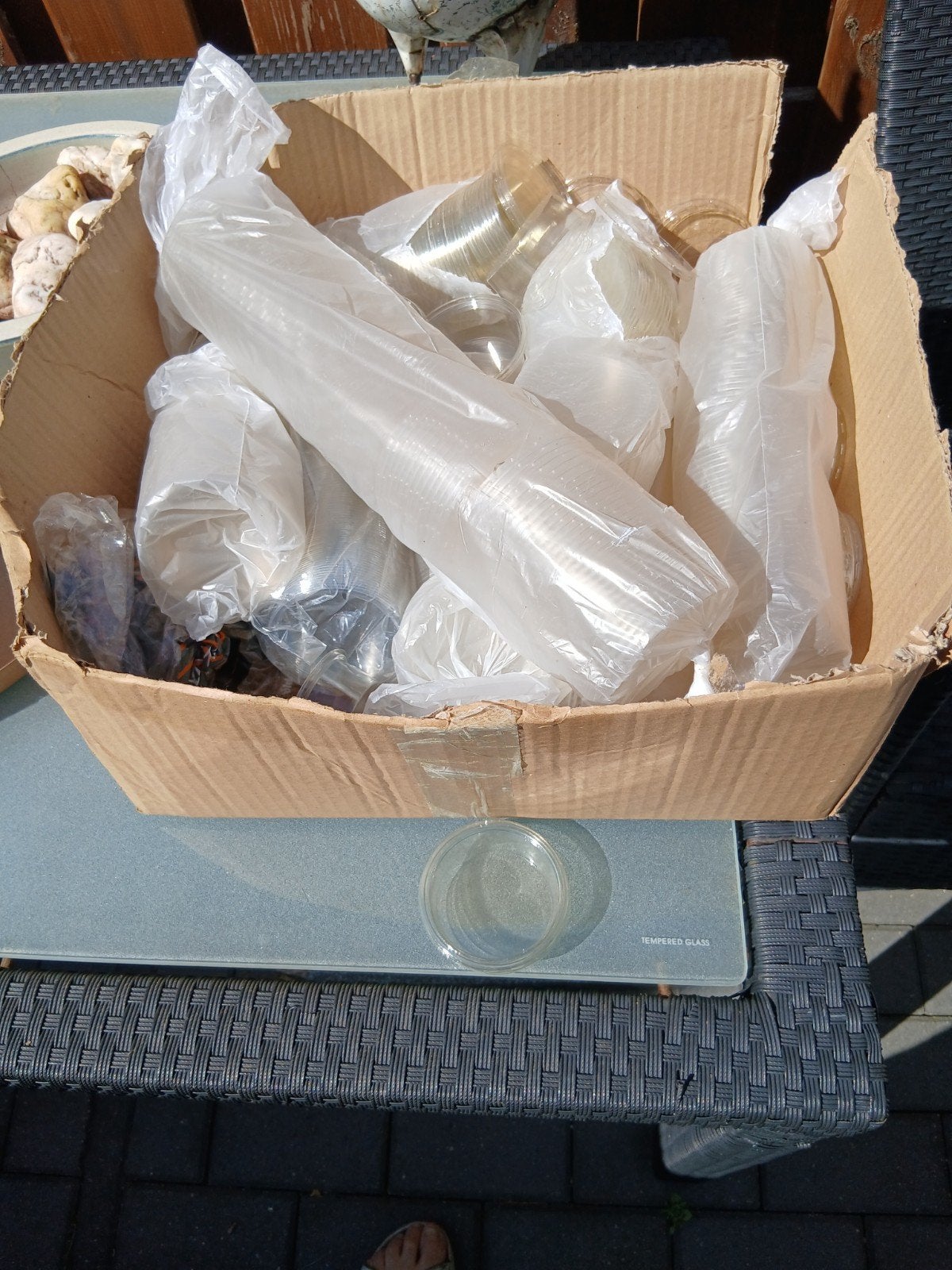 Grote partij plastic  bakjes met deksel, Overige typen, Kunststof, Nieuw, Ophalen of Verzenden