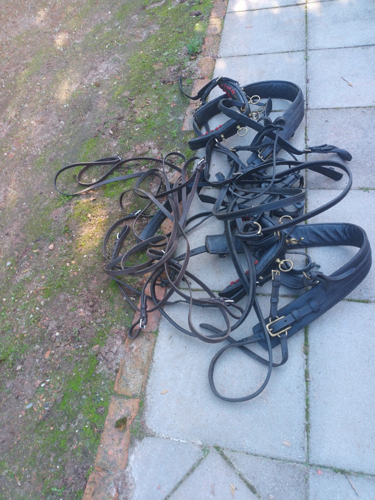 te koop, Dieren en Toebehoren, Ophalen, Pony