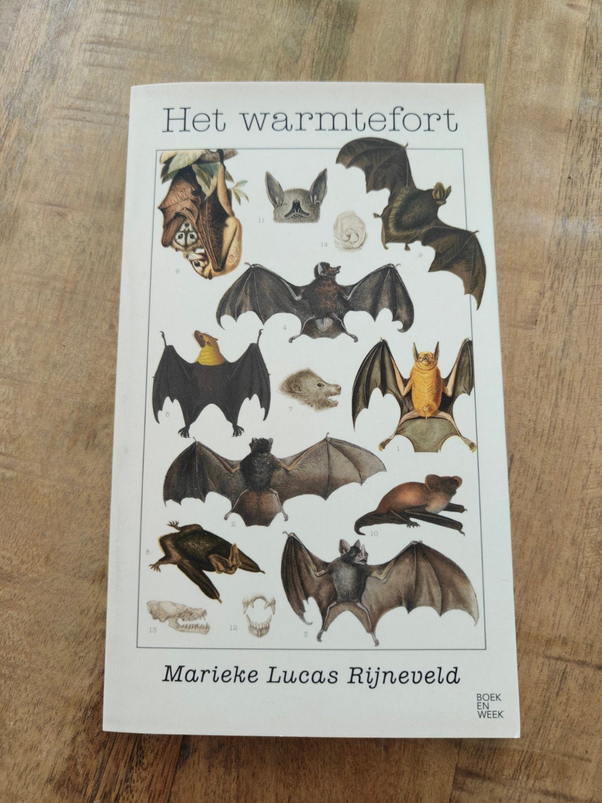 Het warmtefort - Marieke Lucas Rijneveld (Boek), Ophalen of Verzenden, Gelezen, Marieke Lucas Rijneveld, Nederland